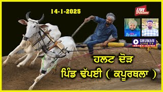 { LIVE } DHAPAI || HALT RACE || ਹਲਟ ਦੌੜ // ਪਿੰਡ ਢਪਈ || ਕਪੂਰਥਲਾ || 14-1-2025