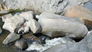 Padavedu river | Nature For Life | no one Can see this location easily