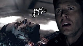 Sam \u0026 Dean • I Should’ve Saved You {+13x21} Supernatural