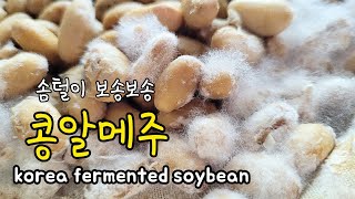 개량메주 콩알메주 띄우기! 볏짚없이 콩삶는시간부터 자세히! 온도 습도 쉽게 조절하는 법!