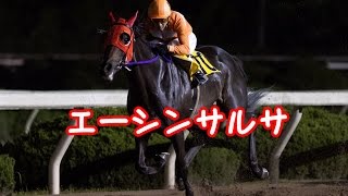 地方競馬予想　兵庫サマークイーン賞　エーシンサルサ　園田競馬場　2014.07.25