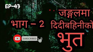 BHOOT NEPALI KATHA / जङ्गलमा दिदीबहिनी को भुत (भाग - 2) / SATYA GHATANA / COMING SOON...#Nepalibhoot