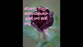 జీవితంలో ఒక్కసారైనా వినవలసిన మంచి మాటలు l life motivation quotes l motivation quotations in Telugu