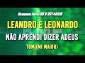 Leandro e Leonardo Não Aprendi Dizer Adeus Karaokê Tom (Mi Maior)