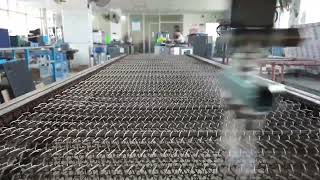 Mesh Conveyor Belt Cleaner Steam Cleaning System Steam Cleaner #autodetailing #conveyorbelts #steam