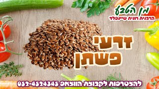 זרעי פשתן 🫘 מן הטבע 🌾 איזון גוף ונפש 🌿 הרבנית רונית שיינפלד