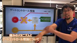 【医療従事者向け】ゲートコントロール理論　痛みのメカニズム　簡易版