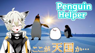 【Penguin Helper🐧】夢のお仕事！！ペンギン起こし隊出動！！