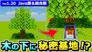 【Java版/統合版】木の下が開く！？秘密基地の作り方【1.20】【マイクラ】