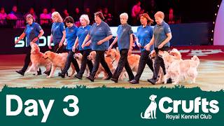 Super Saturday at Crufts 2026 did not disappoint!
