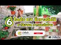 6 ไอเดีย การ diy ชั้นวางต้นไม้ จากของใช้ในบ้าน i บ้านในฝัน ep.132