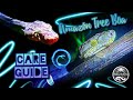 Amazon Tree Boa - How To Care For Your Pet Snake (Care Guide & Basic Information & And Being Bit)