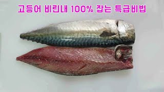 비린맛 없이 바삭하고 촉촉함 최대로 고등어굽는 특급비밀 대방출