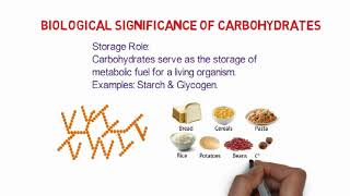 Carbohydrates: Introduction, classification \u0026 biological significance