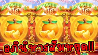 Fortune Tiger │ เสือโชคเลือด ➤ เบทพันวัดสุด!!