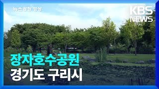 [뉴스광장 영상] 장자호수공원 / KBS  2023.09.08.