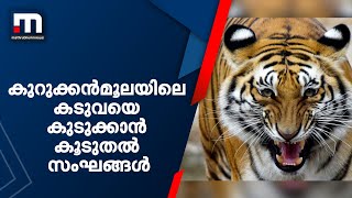 കുറുക്കൻമൂലയിലെ കടുവയെ കുടുക്കാൻ കൂടുതൽ സംഘങ്ങൾ | Mathrubhumi News