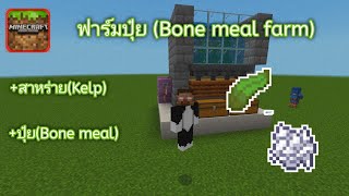 สอนสร้าง[Minecraft pe1.19] - Bone meal farm สร้างฟาร์มปุ๋ยสุดง่าย ได้ผลผลิตเยอะ