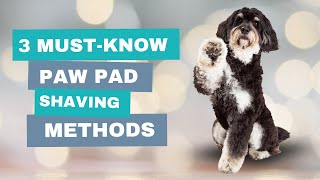 3 Must-Know Methods | How To Shave Your Dog's Paw Pads Easily