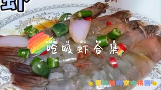 小郭呛吸虾合集—脆脆的生呛虾加上配菜，简直绝了！看着太诱人了～小