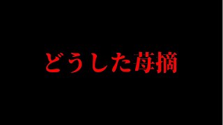 【切り抜き】あまりの段取りの悪さにお蔵入りフラグになる持ち込み企画【Caring*2/かりかり】