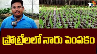 Seeding Cultivation Techniques | ప్రోట్రేలలో నారు పెంపకం | Matti Manishi | 10TV News