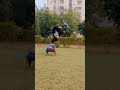 😉 Parkour time 🔥_RTP #parkour #stunts #shorts #beat #trending #gymanstics  #viral #publicreaction