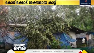 അതിശക്തമായ കാറ്റ്; കടപുഴകി വീണ് മരങ്ങൾ; കോഴിക്കോട് ജില്ലയിലെ മലയോര പ്രദേശങ്ങളിൽ പരക്കെ നാശനഷ്ടം