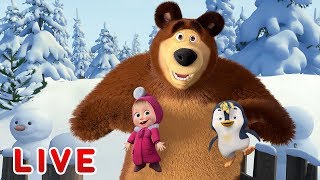 Masha and the Bear 🎬💥 LIVE STREAM 💥🎬 All episodes for kids 👶 Cartoon live best episodes