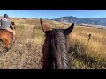 galloping an arabian in montana this horse was so fast