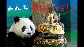 【サマナーズウォー】いてぺんがパンダの誕生日に前座ガチャ【ガチャ】