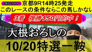 【競馬予想】10月20日の特選一鞍【大根おろし】