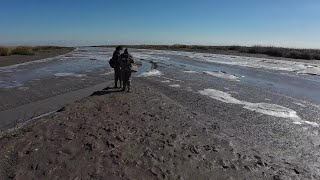 即是到海邊蘆葦蕩抓青蟹、也是欣賞美景（請允許我水一期）#趕海