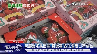 日韓草莓含農藥 邊境攔截「5批」逾1200公斤｜TVBS新聞 @TVBSNEWS01