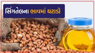 Rakot: મગફળીની પડતર કિંમત ઓછી રહેતા સિંગતેલના ભાવમાં થયો ઘટાડો | VTV Gujarati