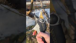 Vesco x18v makaze za orezivanje,orchard pruning