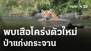 พบเสือโคร่งตัวใหม่  ดุดันสง่างาม | 23 เม.ย. 67 | ข่าวเที่ยงไทยรัฐ