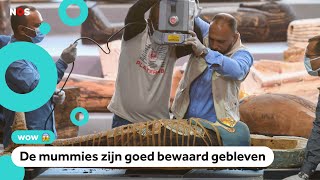 Zeker honderd sarcofagen (en mummies) gevonden in Egypte