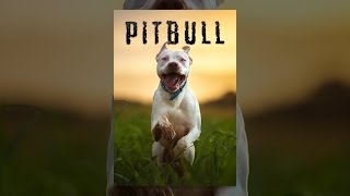 Pitbull