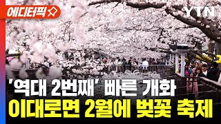 [에디터픽] '역대 2번째' 빠른 벚꽃 개화.. 나들이객 반기는 '봄' / YTN