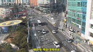 [교통상황] 부산-해운대해변로 / 2024-12-28(토요일), CCTV Record Cam #1228