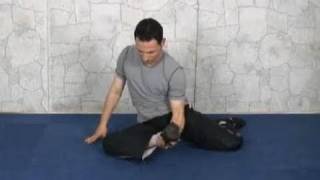 Cabaret Cats  Hip Rotators and Supporting Knee Hip Ankle and Foot Stabilization Exercise