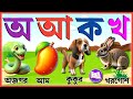 অ আ ই ঈ উ ঊ ঋ এ ঐ ও ঔ | স্বরবর্ণ ও ব্যঞ্জনবর্ণ| Sorborno| Bengali Alphabet | অ আ ই ঈ এসো বাংলা শিখি