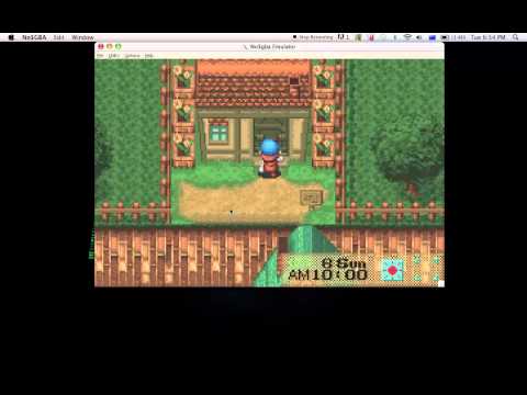 Harvest moon friend of mineral town - Mountain Cottage,City Cottage & Beach House Harvest moon friend of mineral town - Mountain Cottage,City Cottage & Beach House