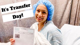 It's Transfer Day! | IVF Update| IVF 2019