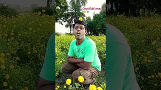 #Koyal bird sound 🐤🐦 #Hussain7Star #viral #shorts #trend #funny #comedy #shortvideos #shortsfeed ##