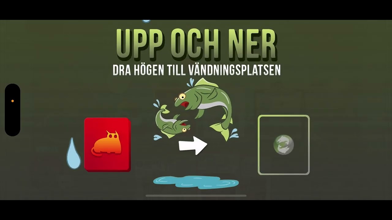 Exploding Kitten 1 Youtube