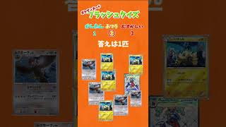 【ポケカ】フラッシュクイズ！一瞬で見抜け！指定のポケカは何匹いる？#運勢 #クイズ #暇つぶし