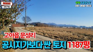 297번  공시지가보다 싼 매물 #토지매매 #경북토지 #구미부동산