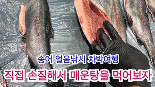 직접 잡은 송어로 매운탕을 끓여 먹어보자 / 홍천강 송어 얼음낚시 재방문 / 독박육아 / 스타렉스 차박캠핑